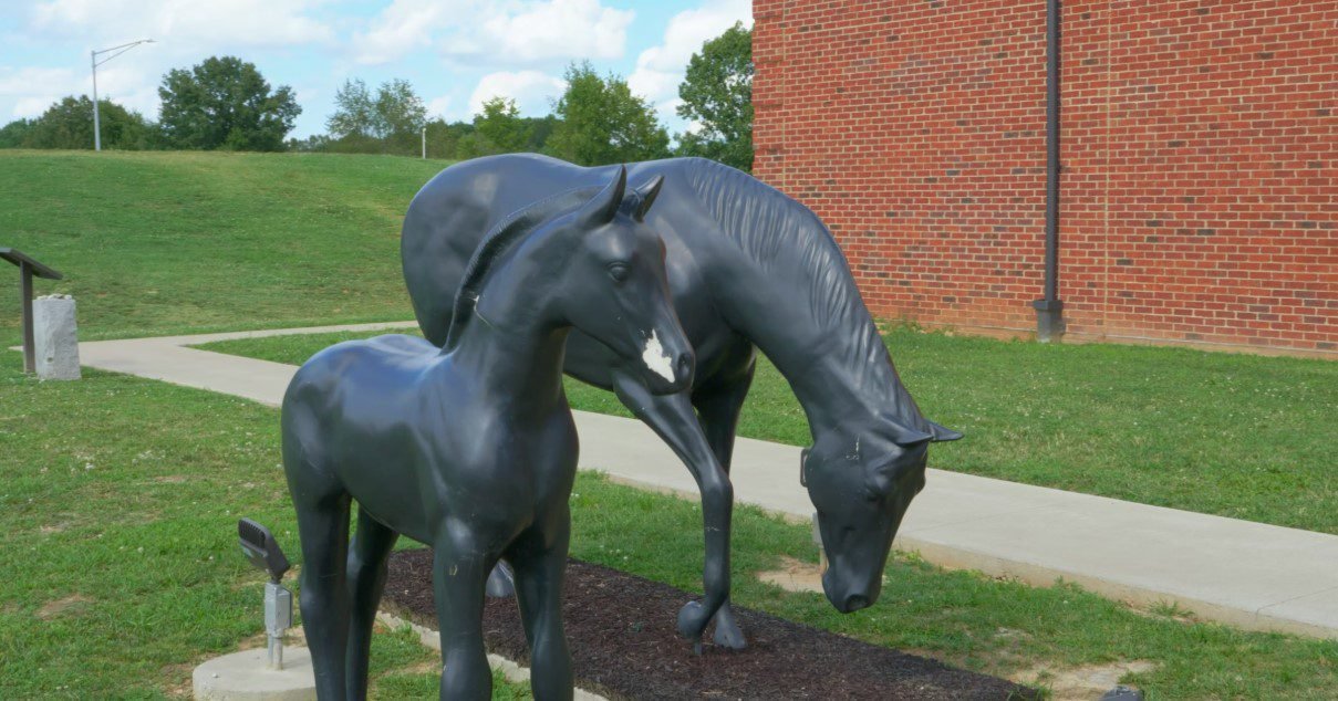 True Omni- Kentucky Installation